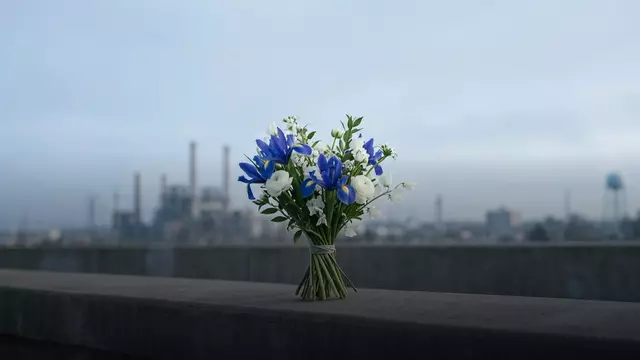 Цветы на День пожилого человека — тёплый букет к 1 октября