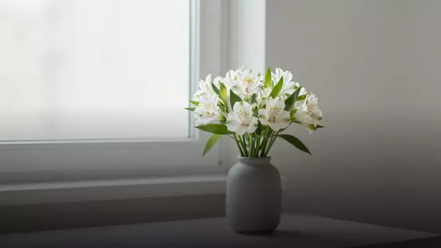 Белые альстромерии коллеге: когда дарить и какой букет взять