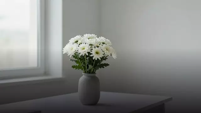 Букет белых хризантем начальнице: как выбрать