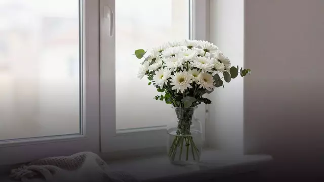 Букет белых хризантем сестре: как выбрать