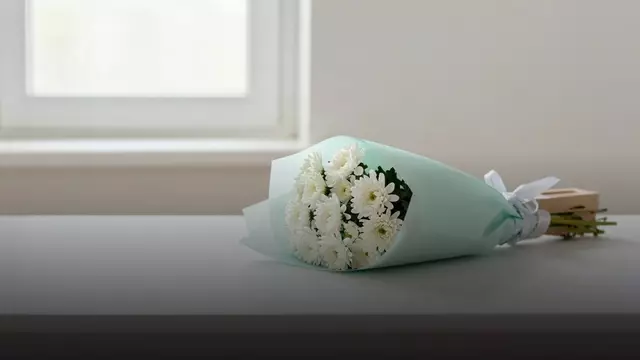 Букет белых хризантем врачу: как выбрать и не ошибиться