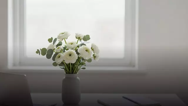 Букет белых ранункулюсов коллеге: как выбрать и не прогадать