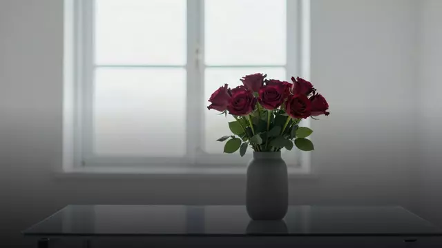 Букет бордовых роз начальнице: как выбрать и не промахнуться