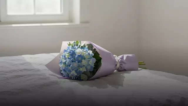 Букет голубых гортензий девушке: как выбрать