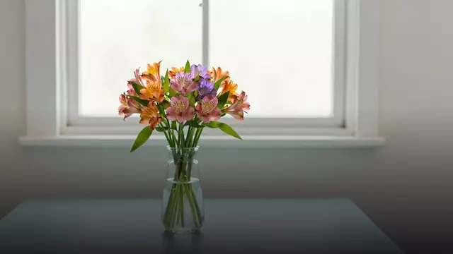 Букет из альстромерий: сколько стоит и как выбрать