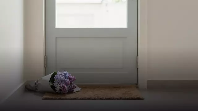 Букет из гортензий для извинения: идеи и цены