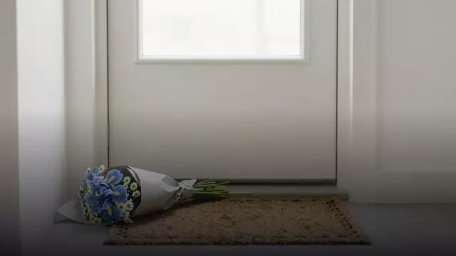 Букет из ирисов для извинения: идеи, составы и цены