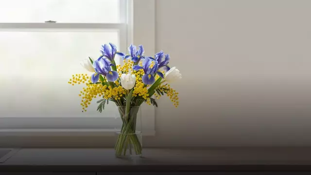 Букет из ирисов на 8 Марта: идеи, варианты и цены