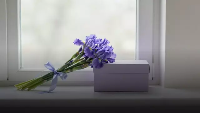 Букет из ирисов на день рождения: как выбрать и сколько стоит