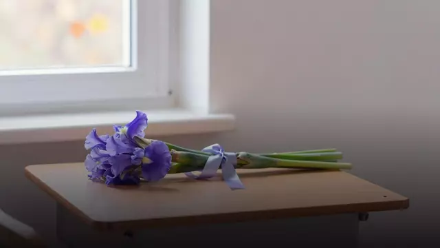 Букет из ирисов на День учителя: идеи, варианты и цены