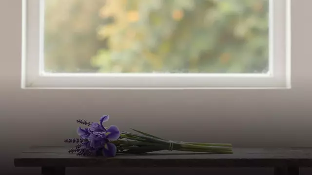 Букет из ирисов на свидание: идеи, сочетания и цены