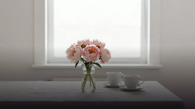 Букет из пионов для извинения