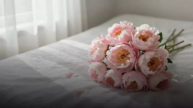 Букет розовых пионов девушке: как выбрать