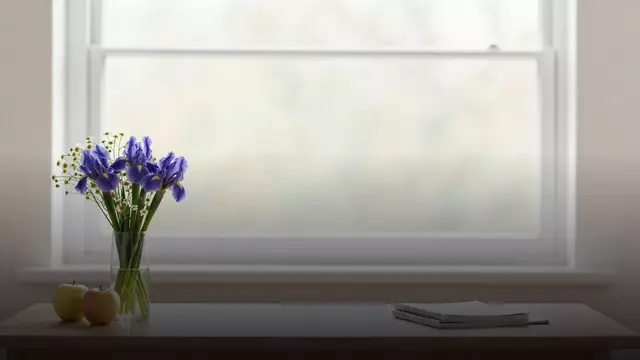 Букет синих ирисов учителю: как выбрать правильно