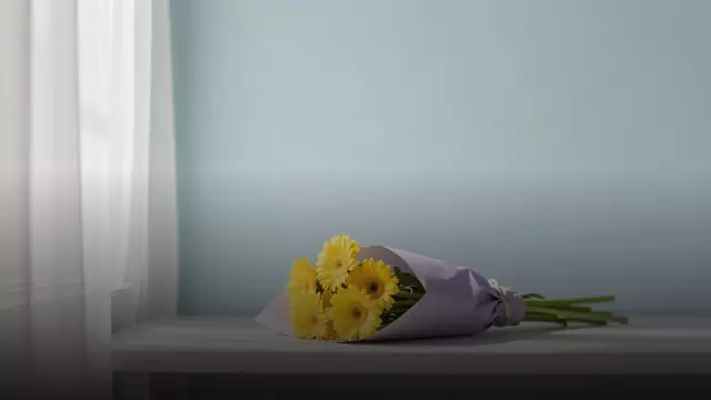 Букет жёлтых гербер подруге: как выбрать и заказать