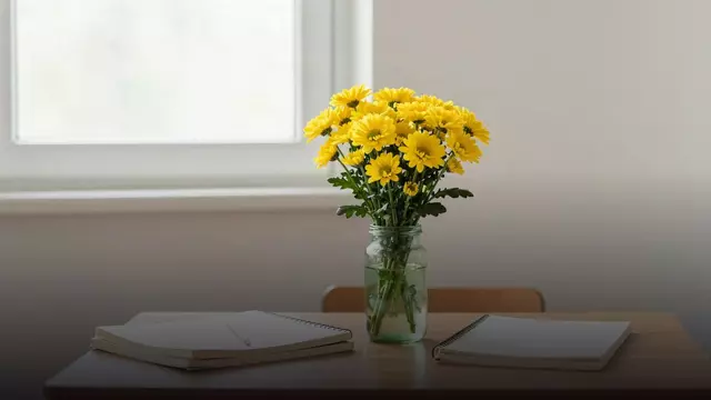 Букет жёлтых хризантем учителю: как выбрать и не ошибиться