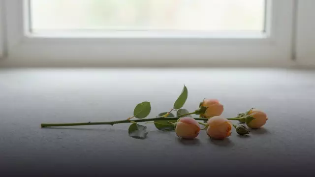 Чем отличаются кустовые розы: объясняет флорист