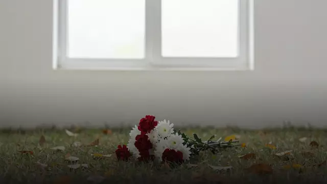 Цветы на могилу мужчине: как выбрать и что означает каждый цветок