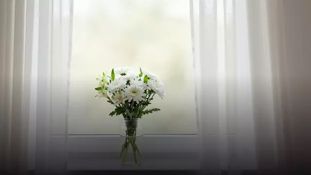 Цветы в больницу: можно ли передать букет в палату