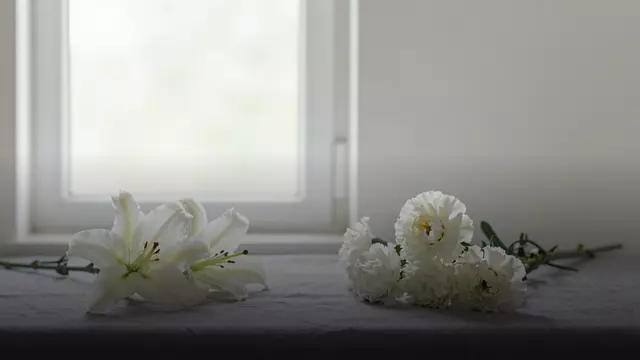 Искусственные цветы на похоронах: честное сравнение с живыми