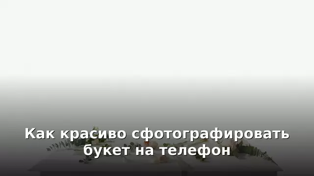 Как красиво сфотографировать букет на телефон