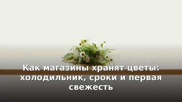 Как магазины хранят цветы: холодильник, сроки и первая свежесть