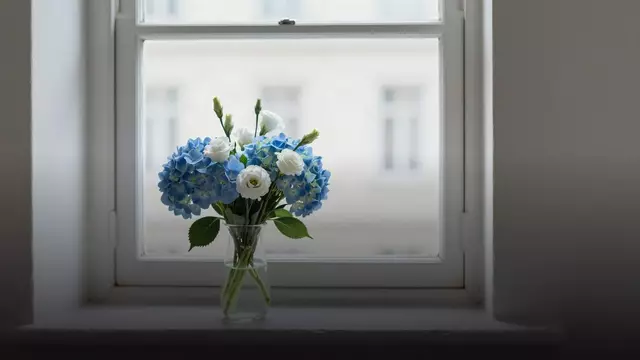 Как отправить цветы в Выборг, если вы живёте в другом городе или за границей