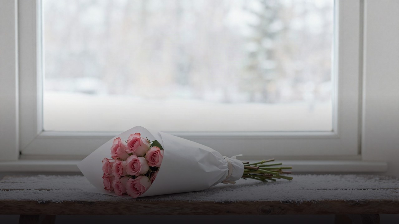 Как перевозить цветы зимой: советы практикующего флориста
