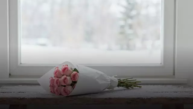 Как перевозить цветы зимой: советы практикующего флориста