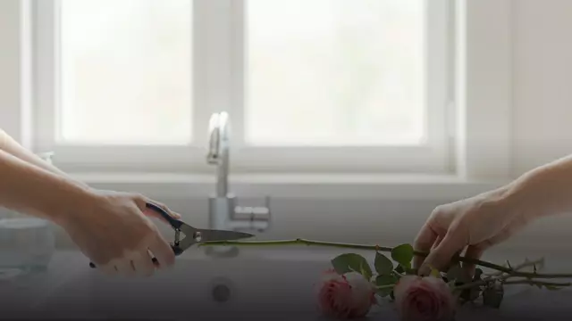 Как подрезать розы, чтобы они стояли дольше