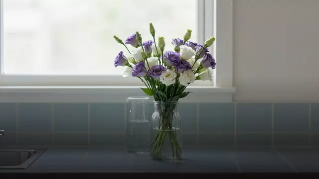 Как продлить жизнь букету из эустомы: уход по дням