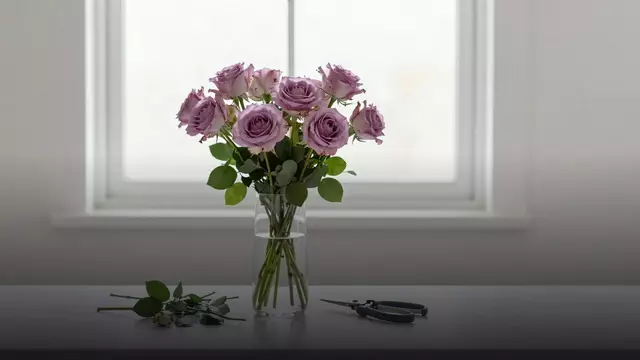 Как продлить жизнь букету из французских роз: уход по дням