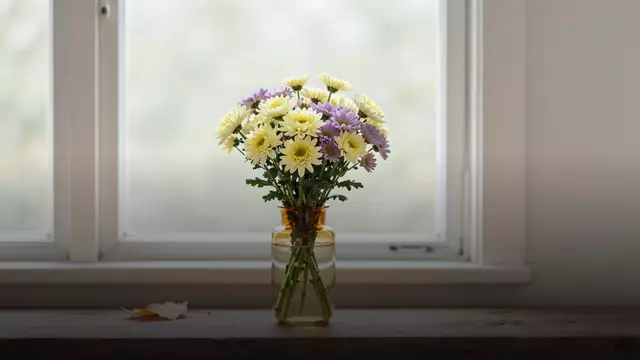 Как продлить жизнь букету из хризантем: уход по дням