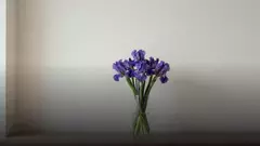 Как продлить жизнь букету из ирисов: уход по дням