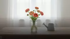 Как продлить жизнь букету из ранункулюсов: уход по дням