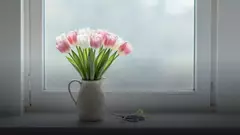Как продлить жизнь букету из тюльпанов: уход по дням