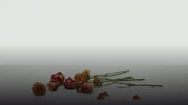 Как понять, что цветы несвежие при получении: чек-лист флориста