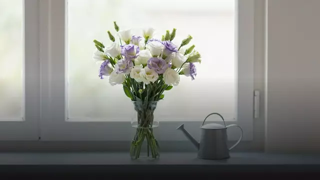 Как ухаживать за букетом из эустомы: подробная инструкция