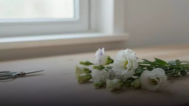 Как выбрать свежие эустомы: на что смотреть при покупке