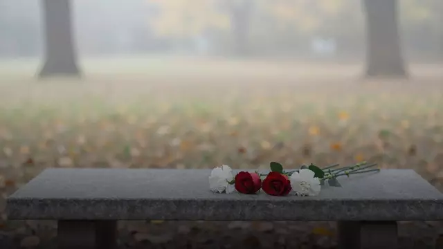 Количество цветов на кладбище: откуда правило чётных чисел