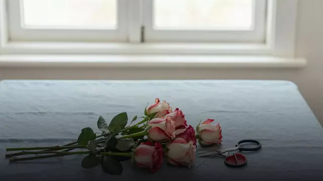 Красно-белые розы: значение, поводы и кому подарить букет