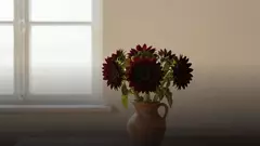 Красные подсолнухи: значение букета и кому его дарить