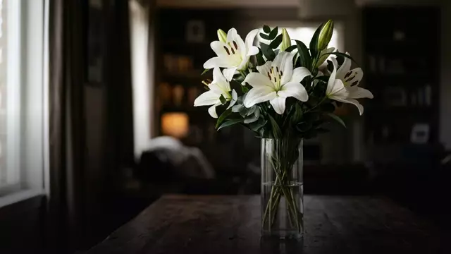 Лилии с доставкой: как выбрать букет и на что обратить внимание