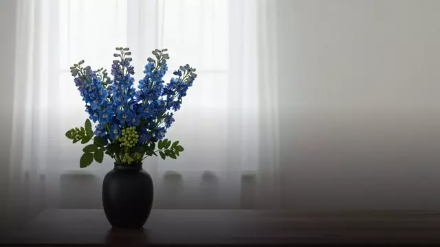 Мужчины любят цветы: правда, мифы и как дарить правильно