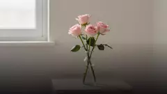 Почему дарят три розы: значение и поводы