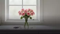Почему вянут розы: причины и способы оживить букет