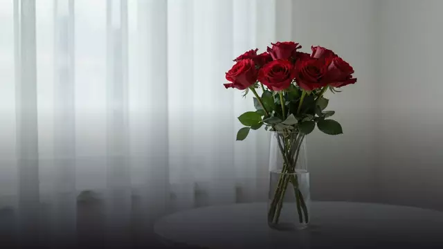 Сколько стоят розы в Латвию: цены на букеты в рублях по городам