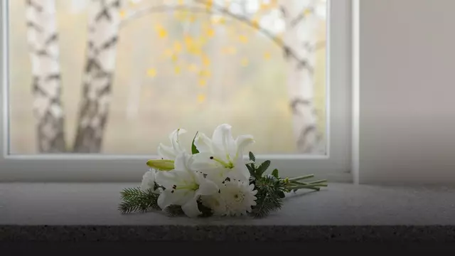 Цветы на 40 дней на кладбище: как выбрать правильно
