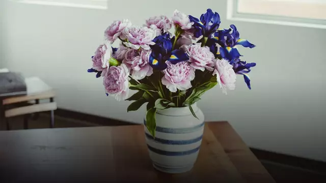 Цветы пионы и ирисы: как собрать букет, который запомнится