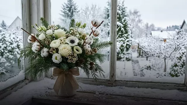 Какой цветок подойдёт для зимнего монобукета: советы флориста